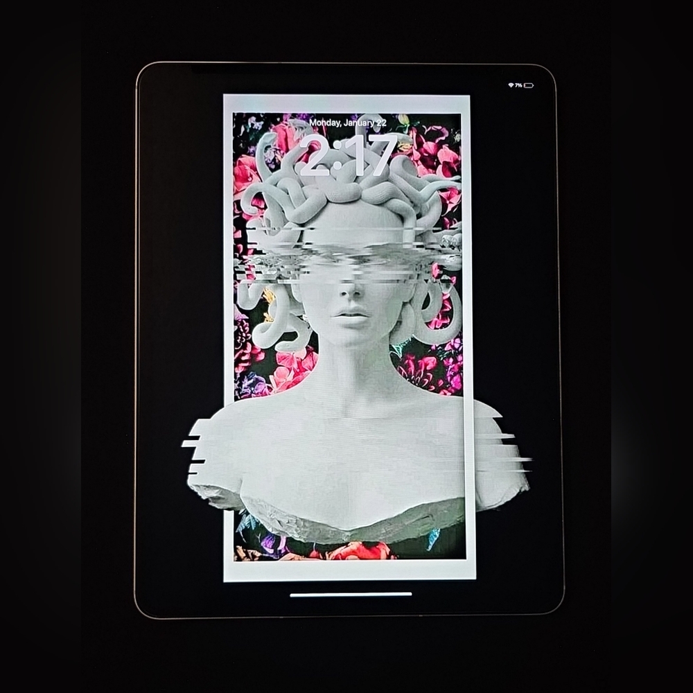 iPad Pro 12.9 (6th generation)